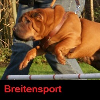 Breitensport